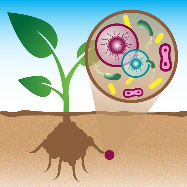 Products - Able Ag Solutions