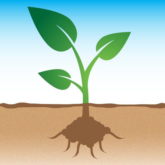 Products - Able Ag Solutions